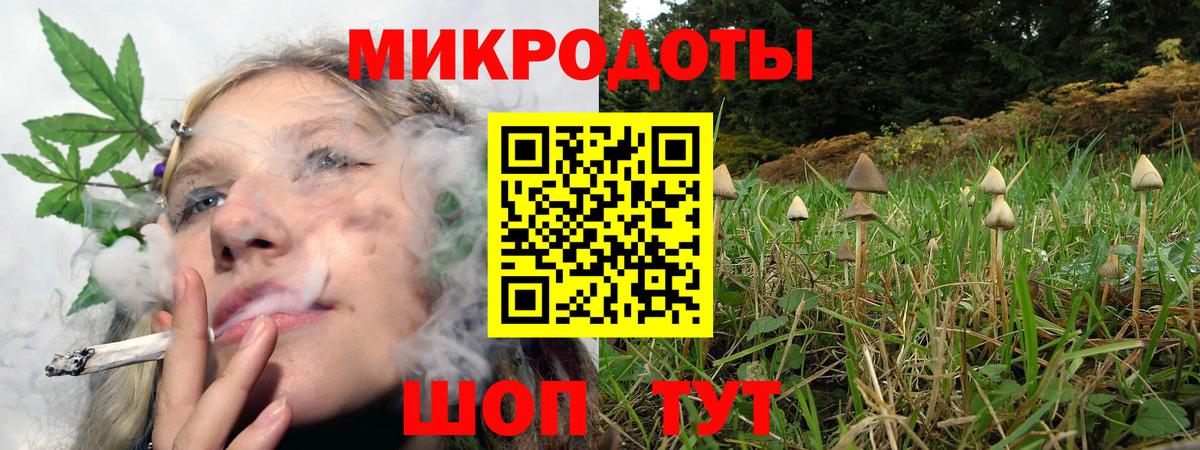 Вязники  Галлюциногенные грибы мухоморы  Псилоцибиновые грибы Psilocybine cubensis  Вход с VPN 
