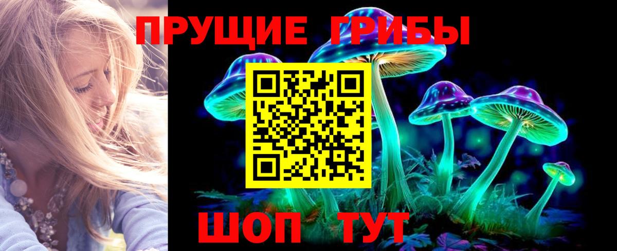 Галлюциногенные грибы Magic Shrooms  купить наркотик  Псилоцибиновые грибы Cubensis  Вязники 